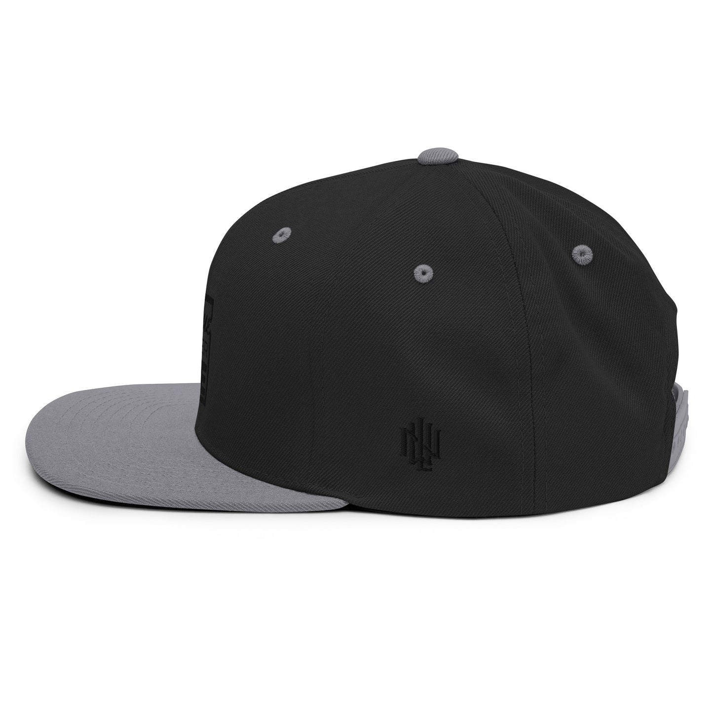 PURSUE RECOVER LIVE Snapback Hat - BLK-WHT EMB