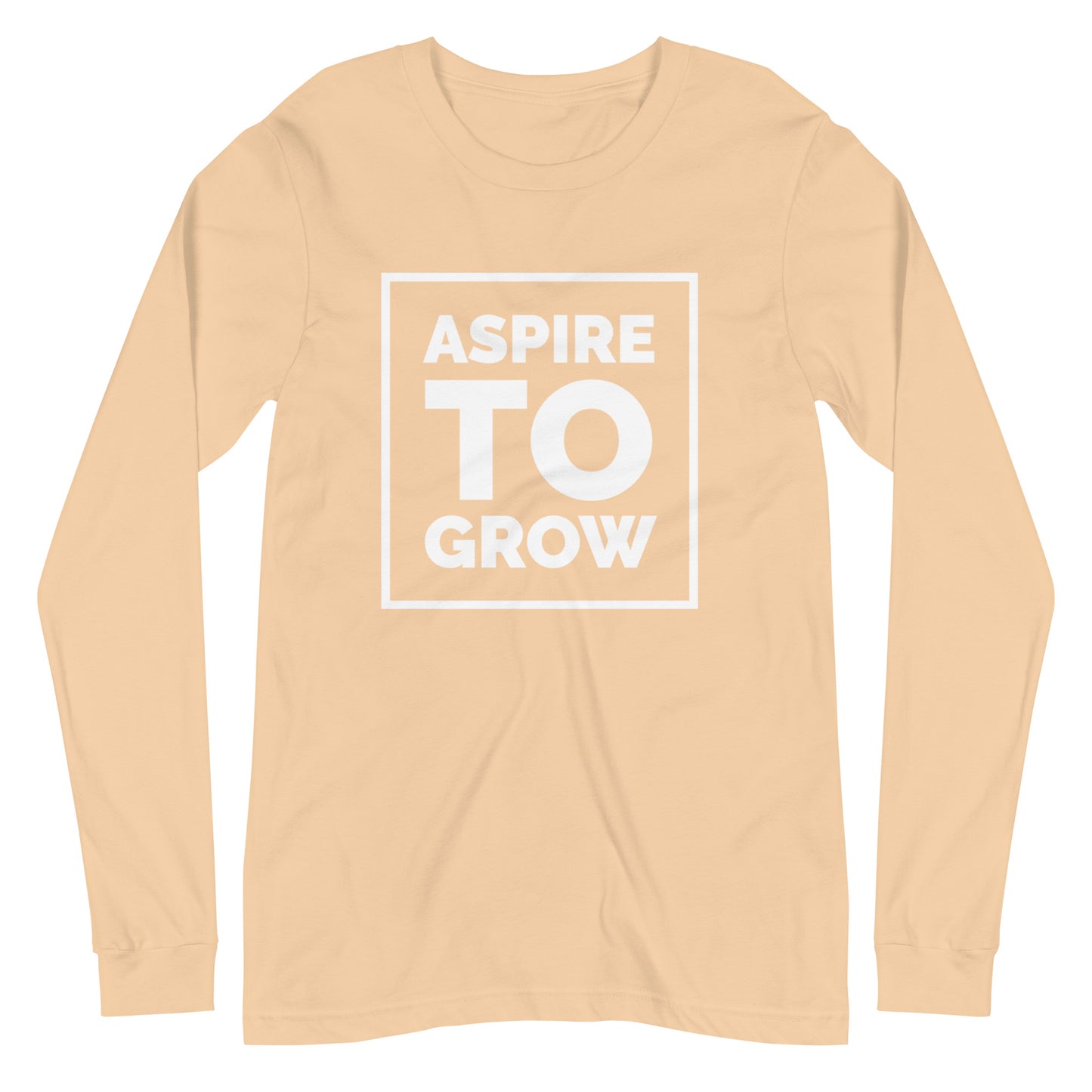 ASPIRE TO GROW BLOCK TEE