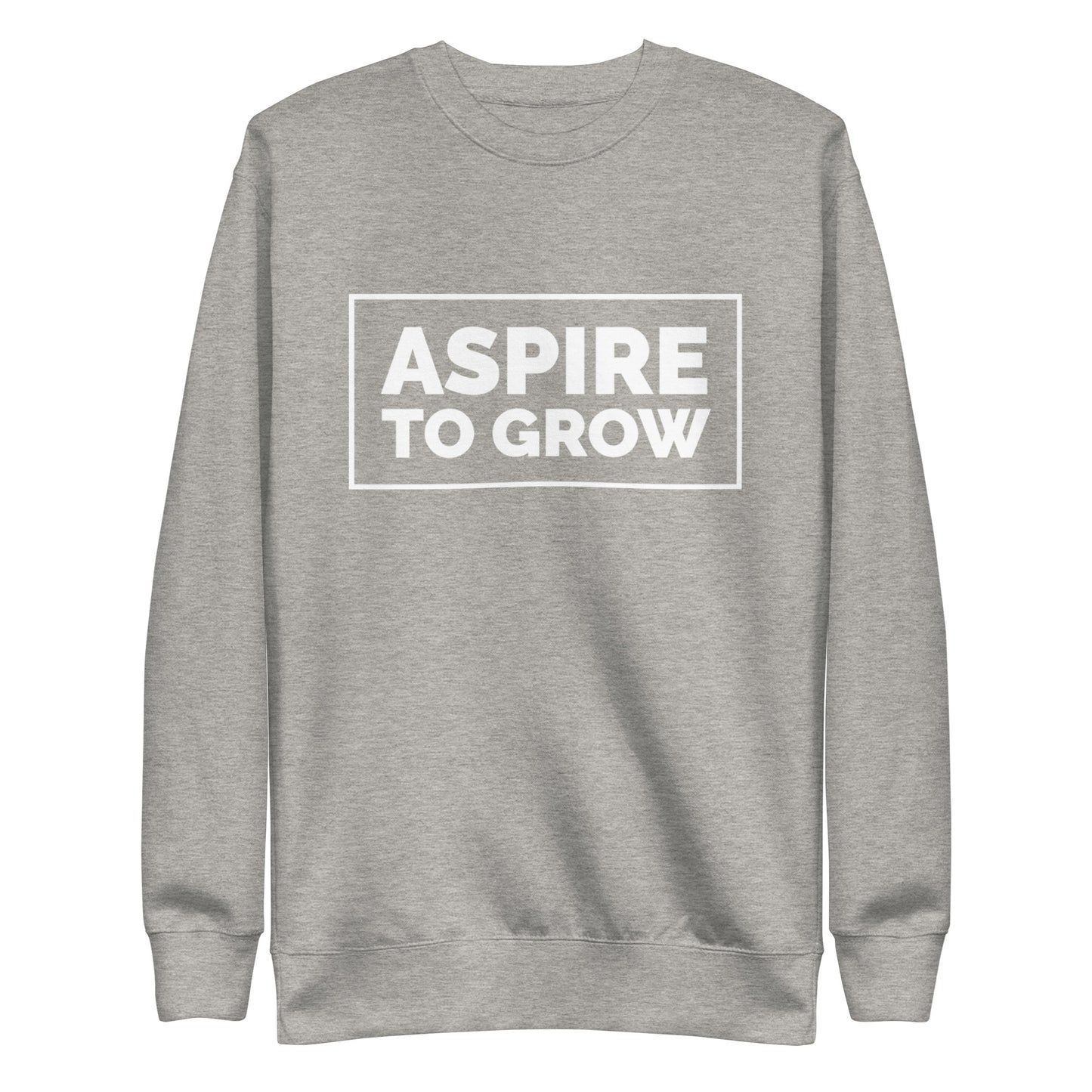 ASPIRE TO GROW BLOCK FLEECE PULLOVER