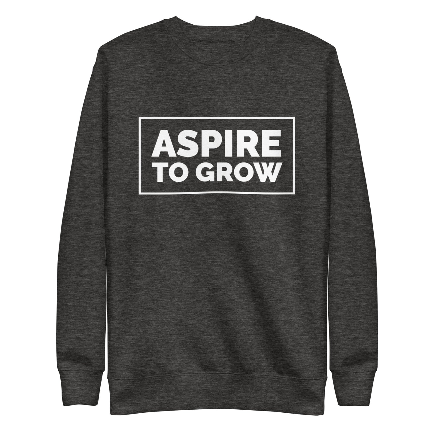 ASPIRE TO GROW BLOCK FLEECE PULLOVER