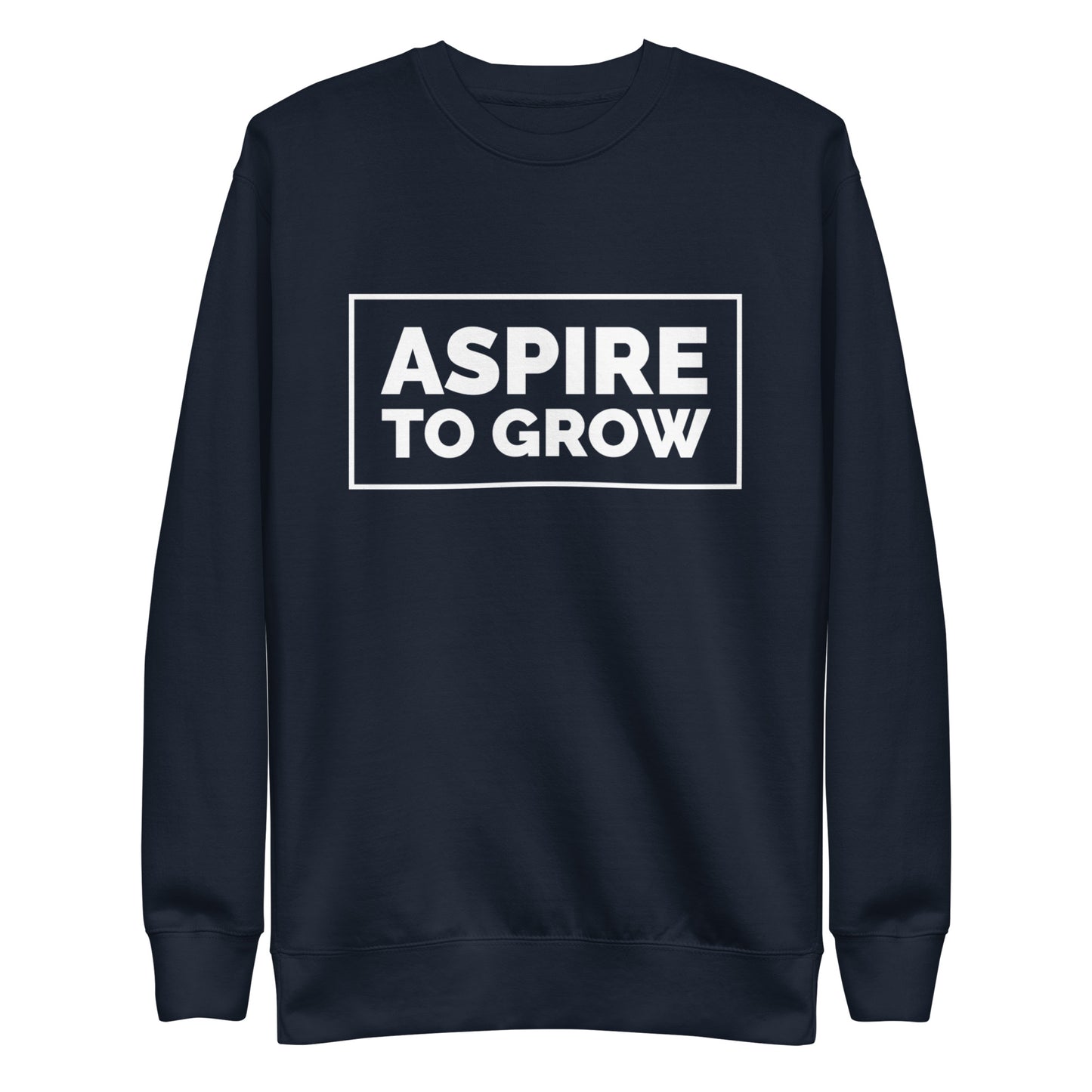 ASPIRE TO GROW BLOCK FLEECE PULLOVER